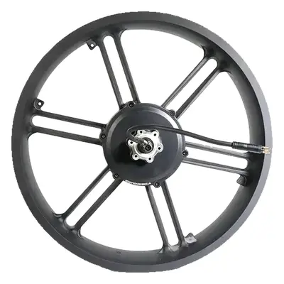 Hub motor of a fatbike