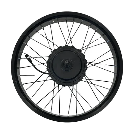 Rear hub motor 250W – AGM GT250