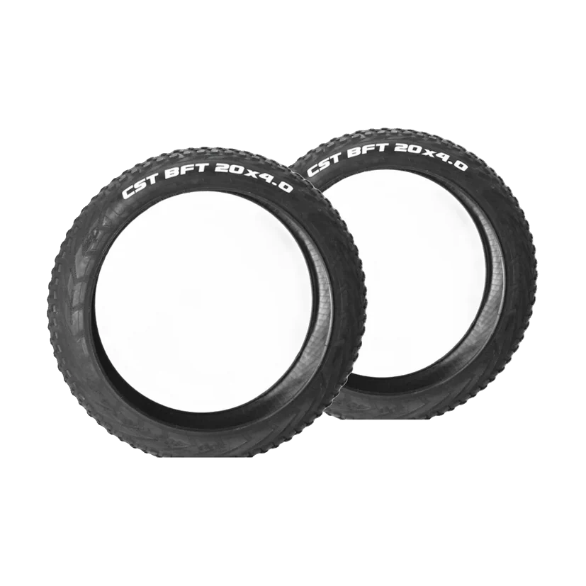 Klik om te vergroten Tyre set 20x4.0 (2 tyres)